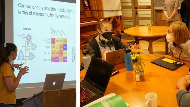 A group of people sit around a wooden table in a cozy room with wooden decor and bookshelves.