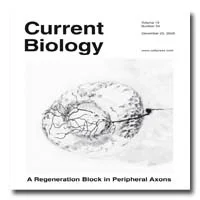 The cover of Current Biology features a black-and-white illustration of a brain with detailed vascular or neural pathways extending from it.