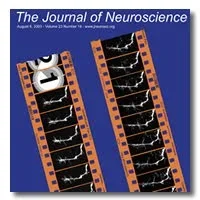 A journal cover featuring two vertical strips of orange film reel against a blue background.