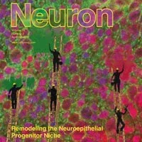 Cover of Neuron magazine with four figures on ladders.